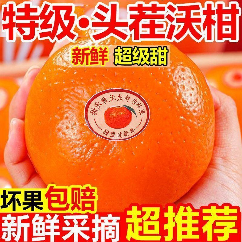 【武鸣沃柑】现摘现发正宗广西产地直发新鲜现摘沃柑应季水果多汁