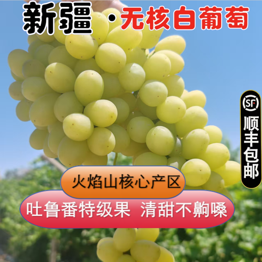 【拍3斤送2斤】新疆吐鲁番火焰山无核白葡萄顺丰包邮葡萄同城送新疆维吾尔自治区