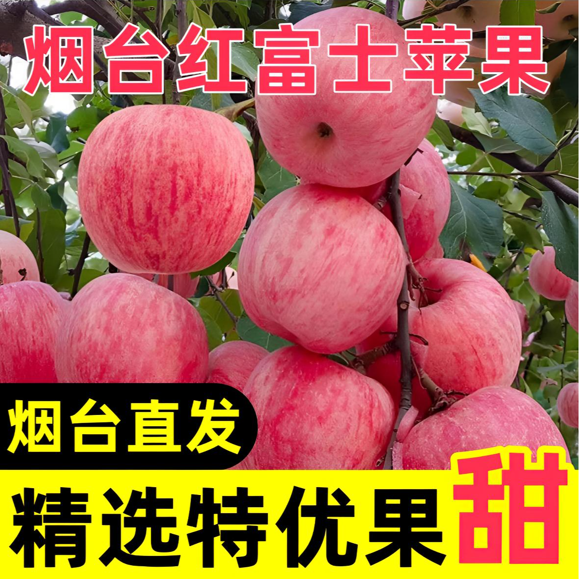 【带箱10斤】烟台正宗红富士苹果新鲜脆甜多汁应季水果产地整箱直发