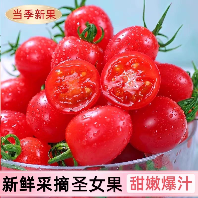 现摘广西千禧圣女果小番茄3/5斤新鲜水果蔬爆汁西红柿