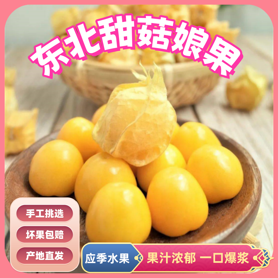 【精品大果】黑龙江头茬姑娘果新鲜采摘清甜多汁当季水果