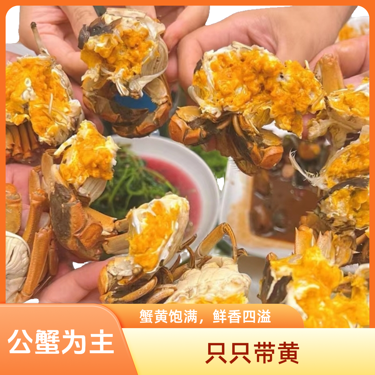 【仅售川渝】螃蟹买10只送2只 只只带黄顺丰包邮