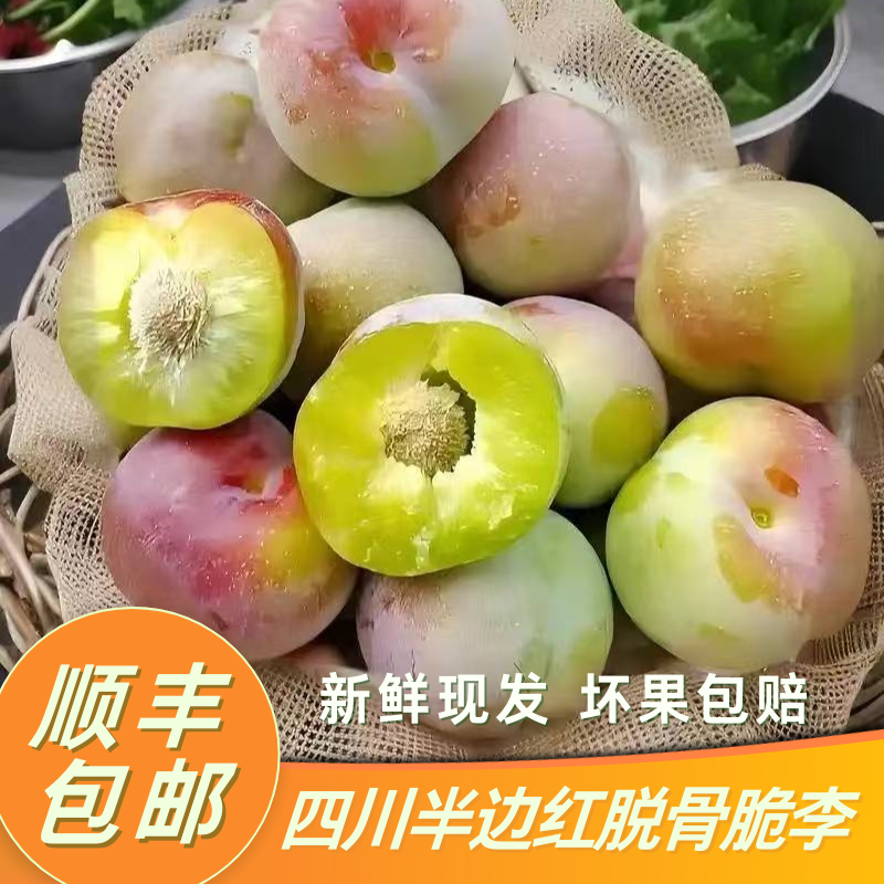 【果园】四川半边红茵红脆骨李新鲜应季水果顺丰包邮产地现发脆李