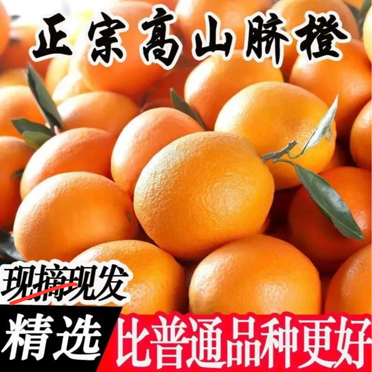 10斤【高山冰糖橙】四川正宗高山自然熟脐橙新鲜采摘保汁爆甜橙子1
