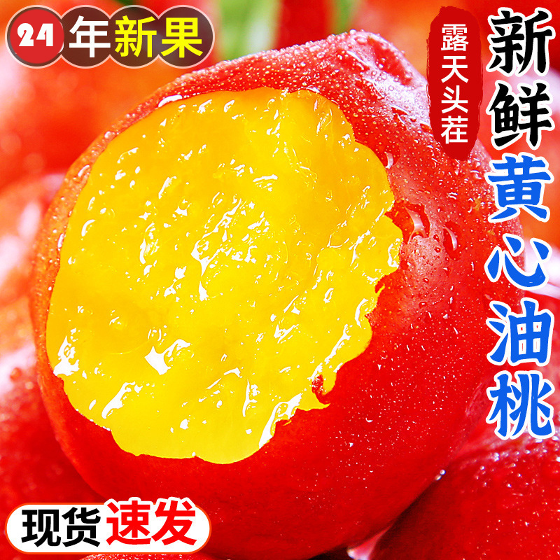 【现摘现发】油桃黄心油桃3/5斤新鲜孕妇水果当季黄肉一斤7个左右DF