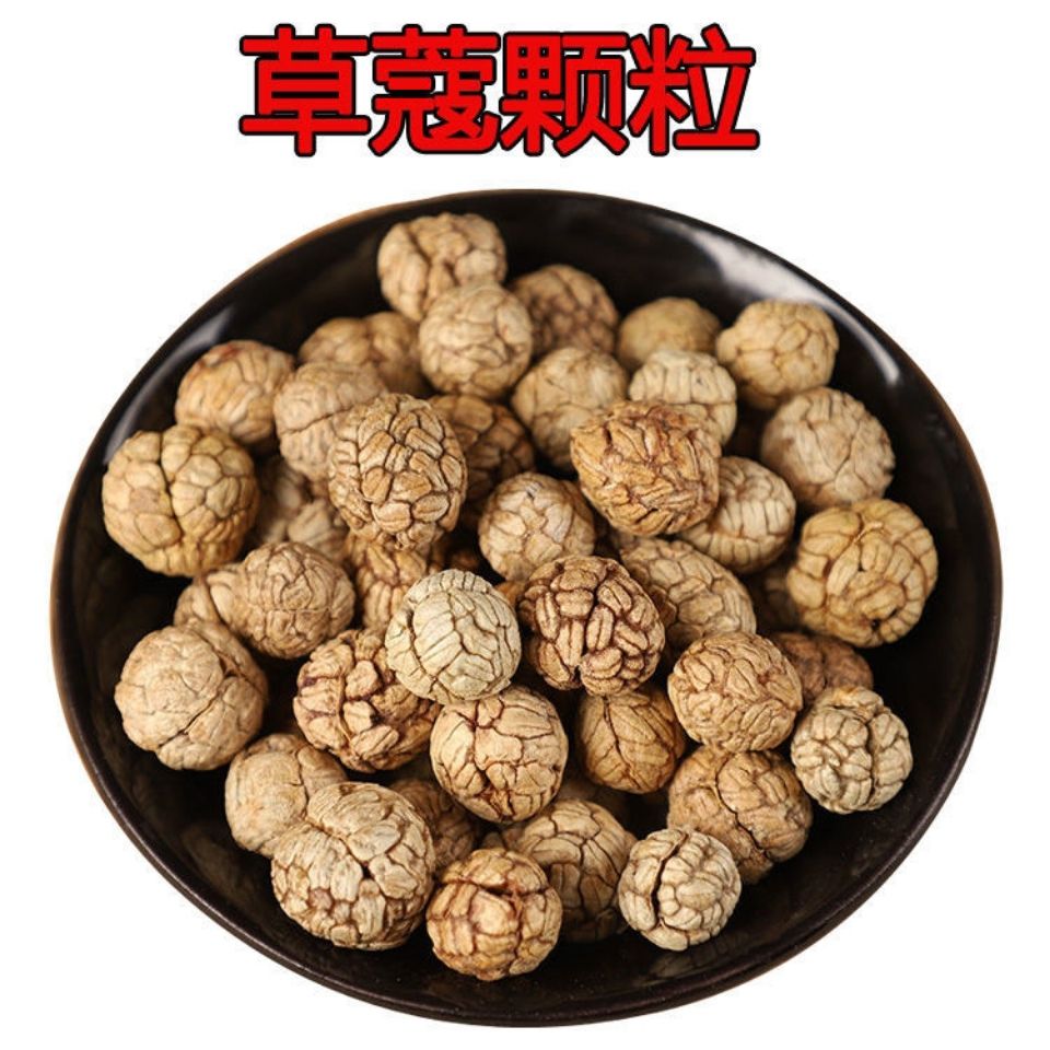 草蔻 草豆蔻 老扣 豆蔻子大草蔻 草寇 草豆寇炖肉卤肉料煲汤颗粒