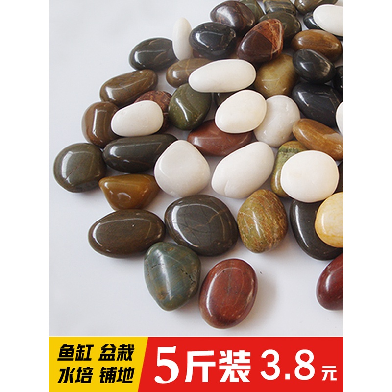 鹅卵石雨花石小石子天然原石鱼缸花盆鹅软石庭院装饰园艺五彩石头