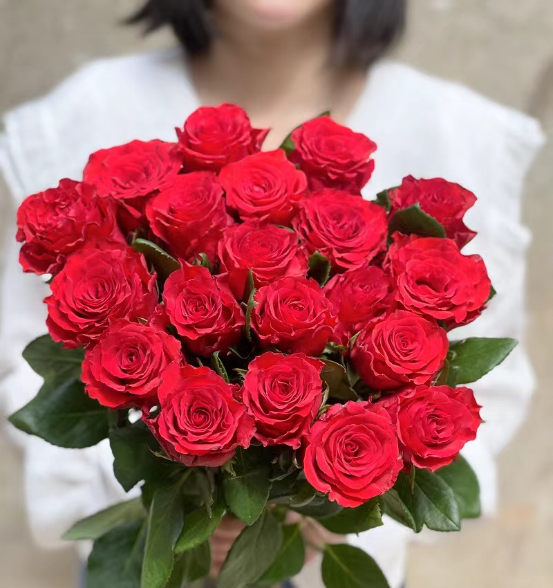 真爱红玫瑰【玫瑰花苗】香水爱莎玫瑰花苗月季花苗盆栽地栽四季开花