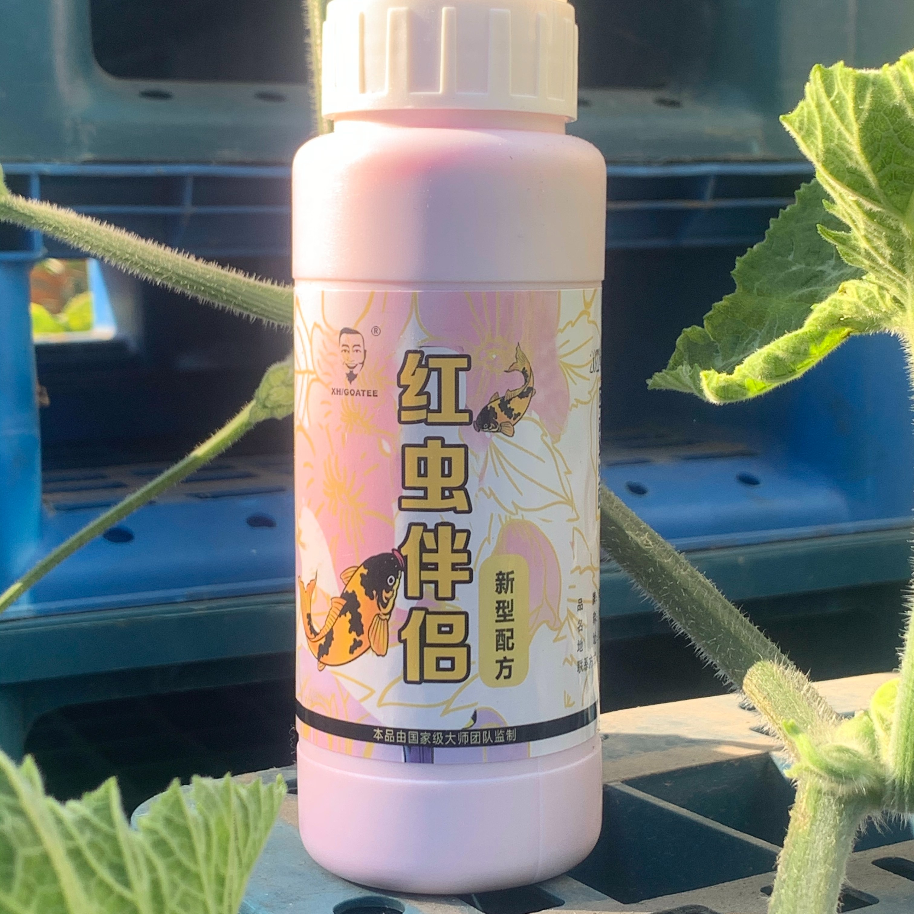 红虫伴侣饵料150克