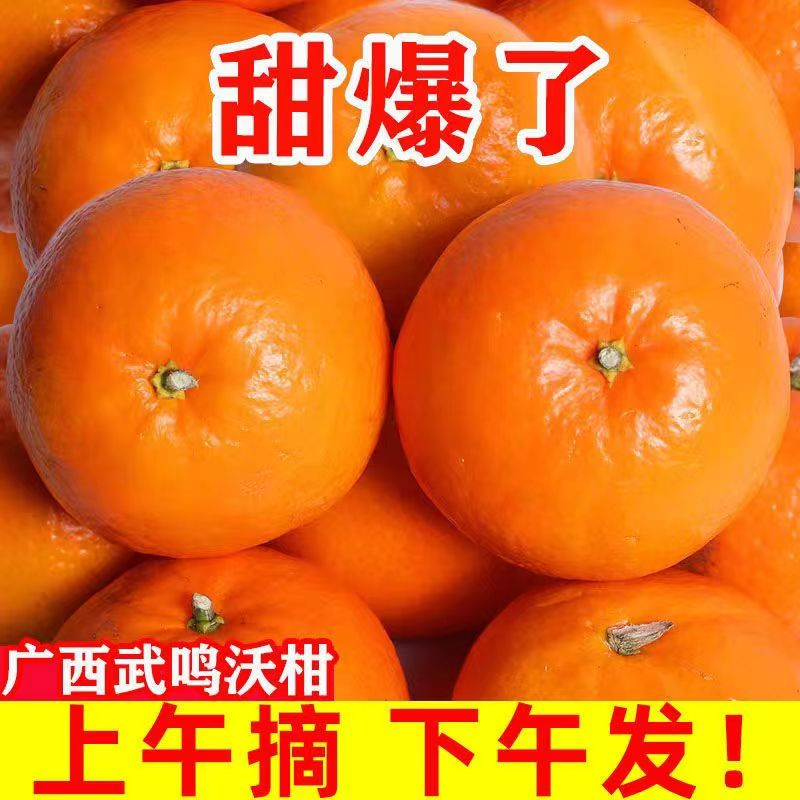 【福利抢】超甜正宗广西武鸣沃柑1-9斤新鲜水果产地直销蜜橘皇帝柑