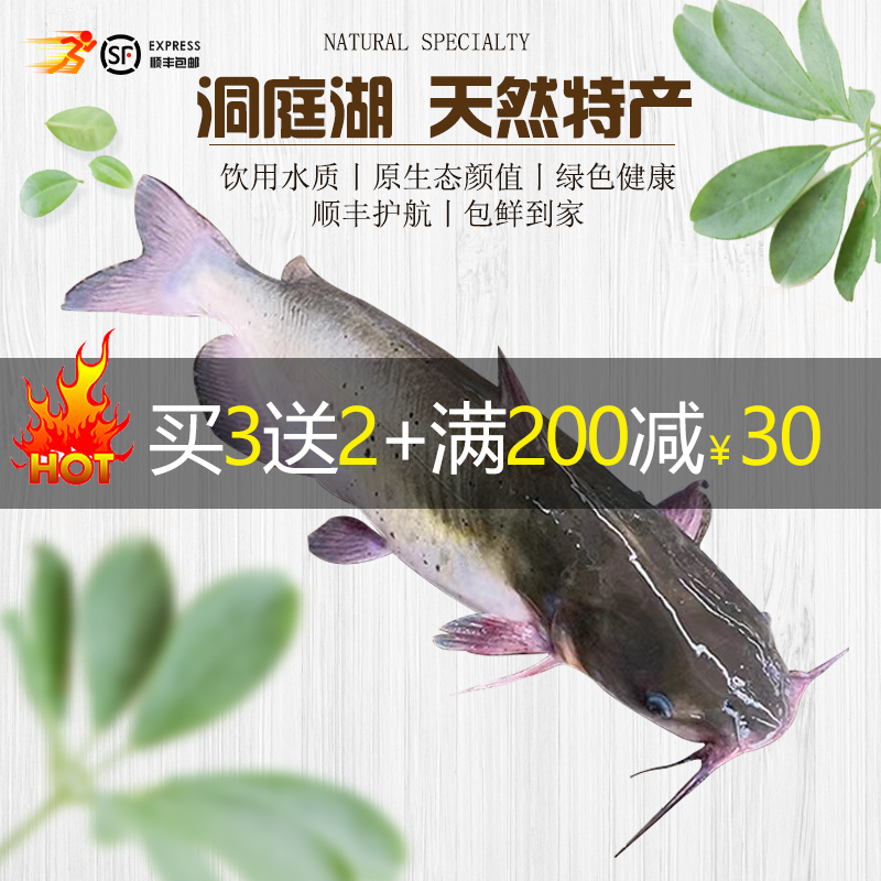 生态大湖清江鱼5条/鮰鱼/江团鱼/无骨鱼/烤鱼/鲜美/新鲜/活鱼鲜杀