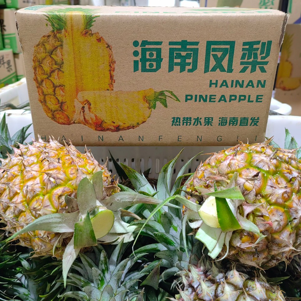 【海南直发】海南金钻凤梨17号冬蜜甜蜜蜜芒果凤梨新鲜水果孕妇应季
