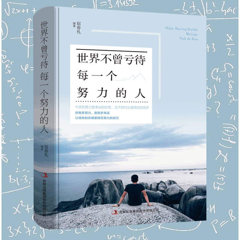 【书籍】世界不曾亏待每一个努力的人经典励志正版书