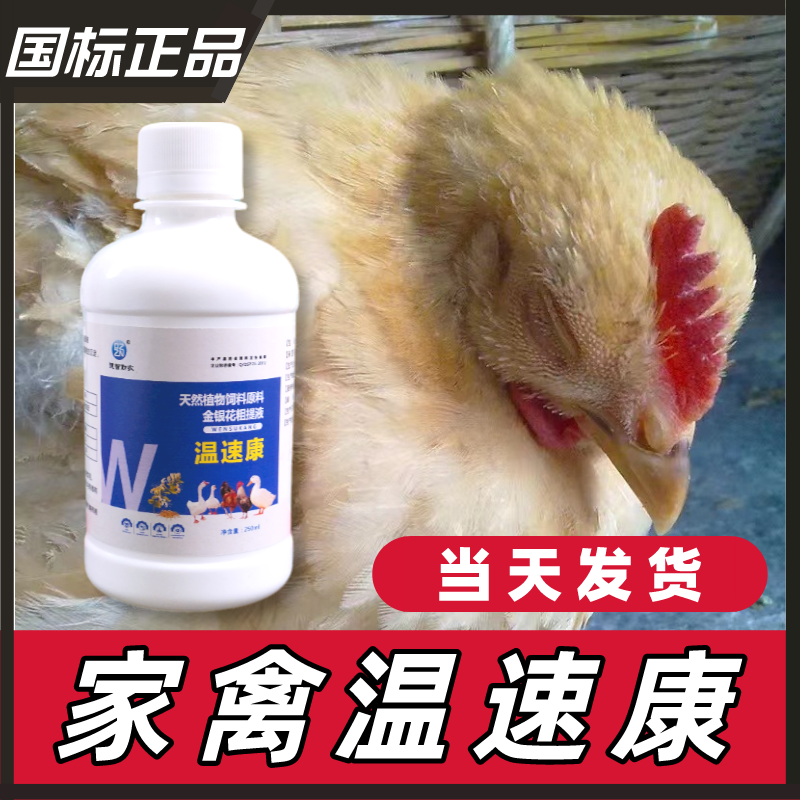 温速康鸡鸭鹅鸽家禽流眼泪呆立不食瞌睡无精打采兑水使用产品