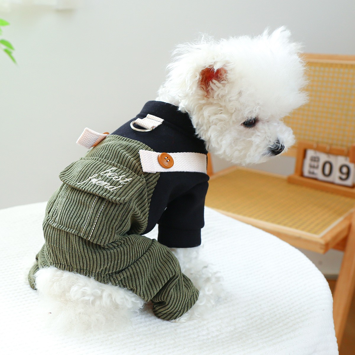 秋冬狗狗衣服宠物服饰23秋冬灯芯可牵引小型犬舒适柔软保暖背带裤