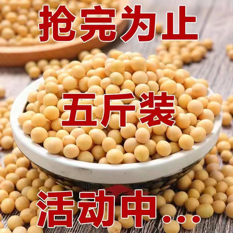 东北新黄豆打豆浆用非转基因大豆农家发豆芽粗粮黄豆批发五谷杂粮