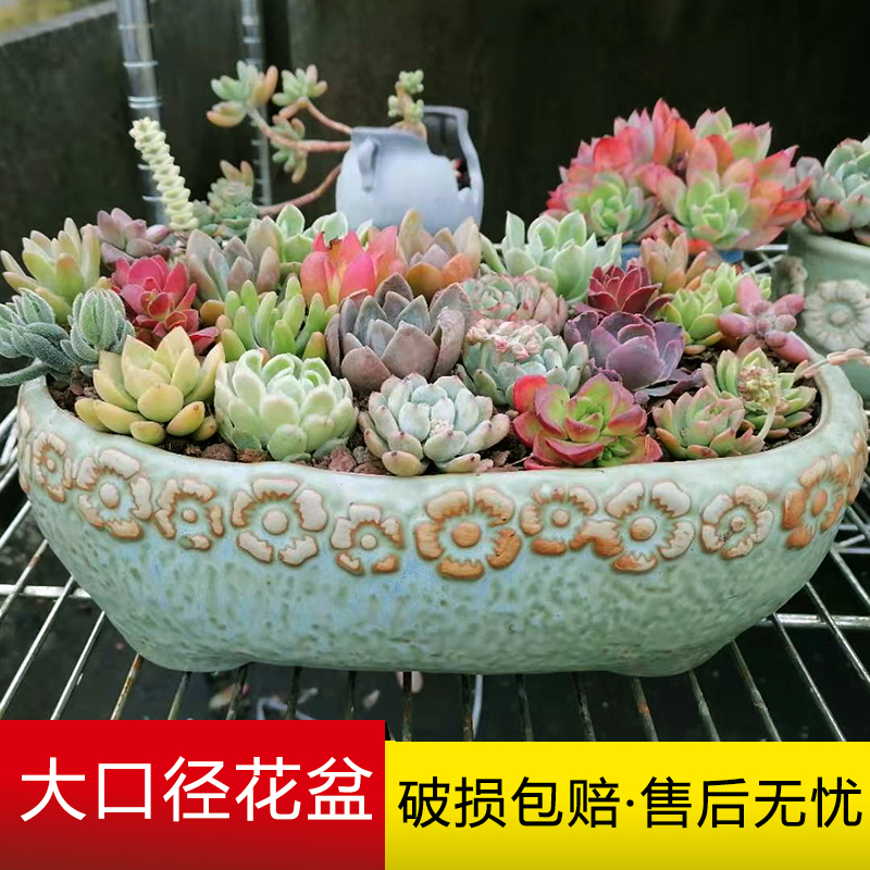 多肉花盆陶瓷特价大口径拼盘创意透气粗陶大号有孔椭圆形造景包邮