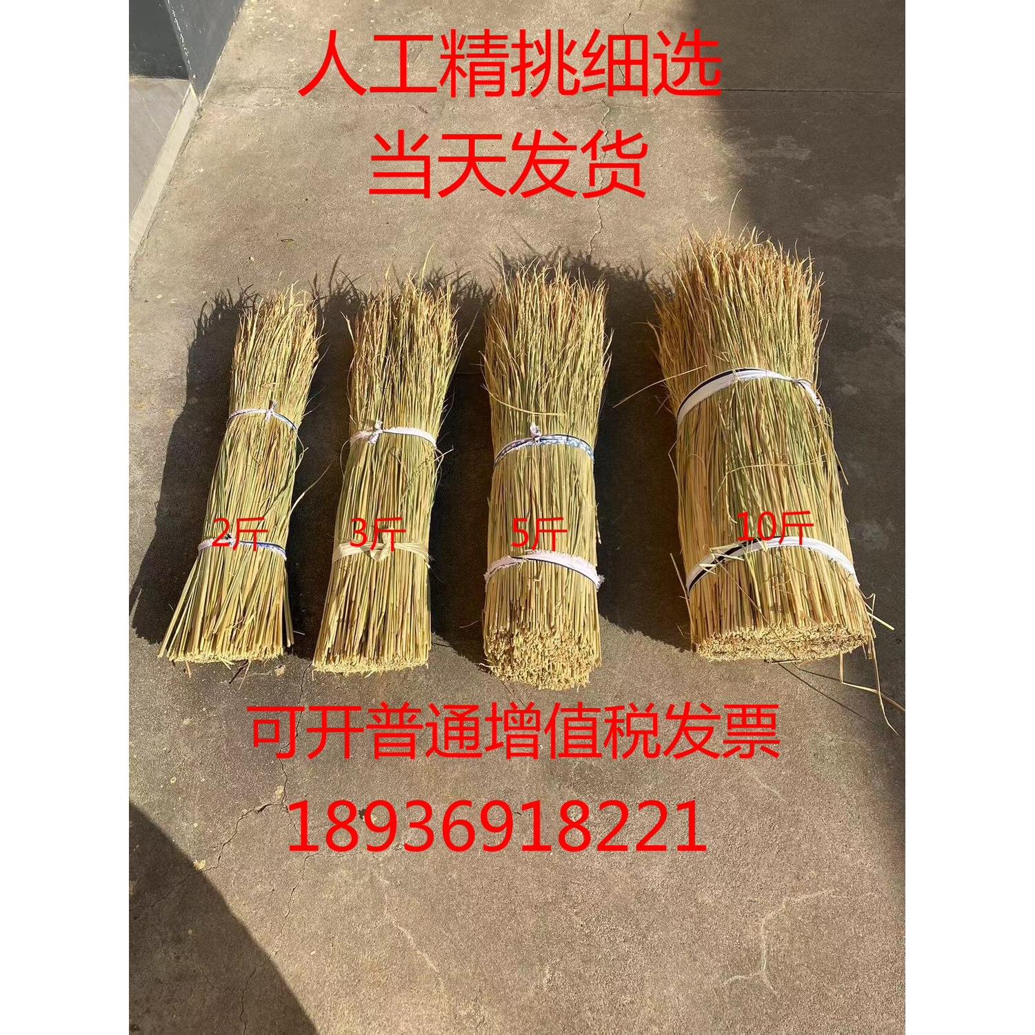 做霉豆腐的稻草谷草屋顶装饰遮阳稻草帘子天然干稻草牛羊草料稻草