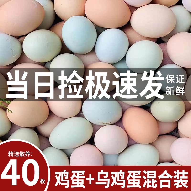 【10枚乌鸡蛋+30枚土鸡蛋】每日新鲜现捡现发 破损包赔福利主打健康