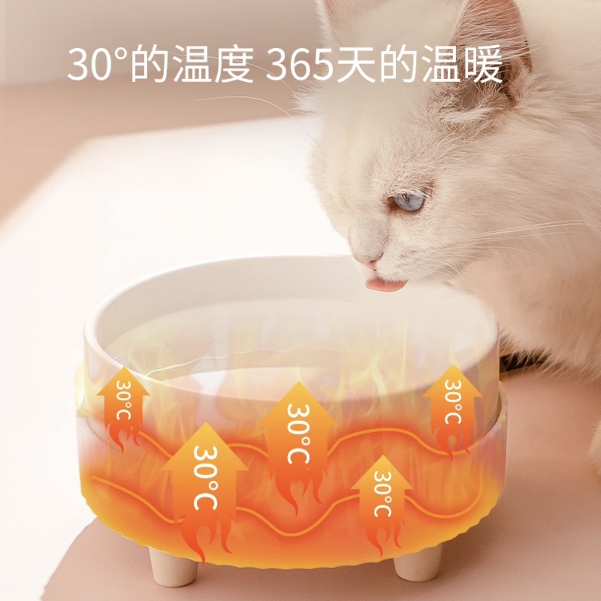 猫咪恒温饮水机宠物陶瓷水碗加热喝水保温便携可爱防烫狗狗家用