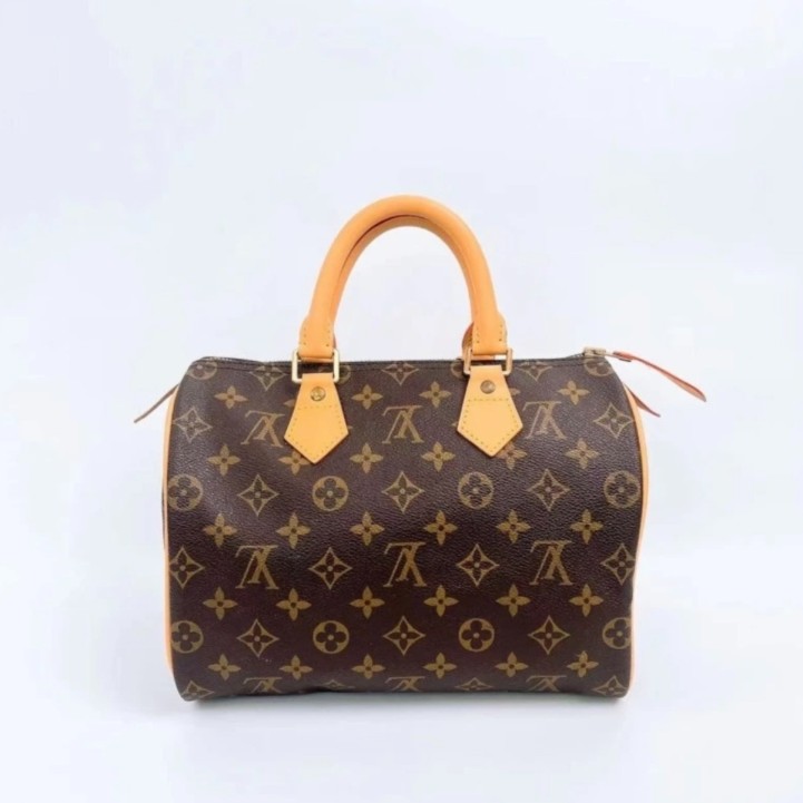 95新 LOUIS VUITTON PARIS LV/中古/枕头25/单肩包/95新/换配皮