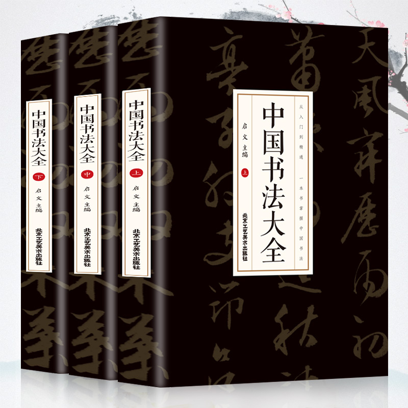 中国书法大全从入门到精通学书法颜真卿欧阳询赵孟俯楷书行书草