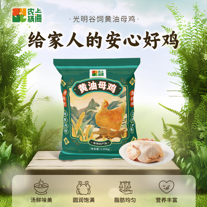 上海农场光明安心黄油母鸡1.05kg*2，好营养吃出来，京东冷链