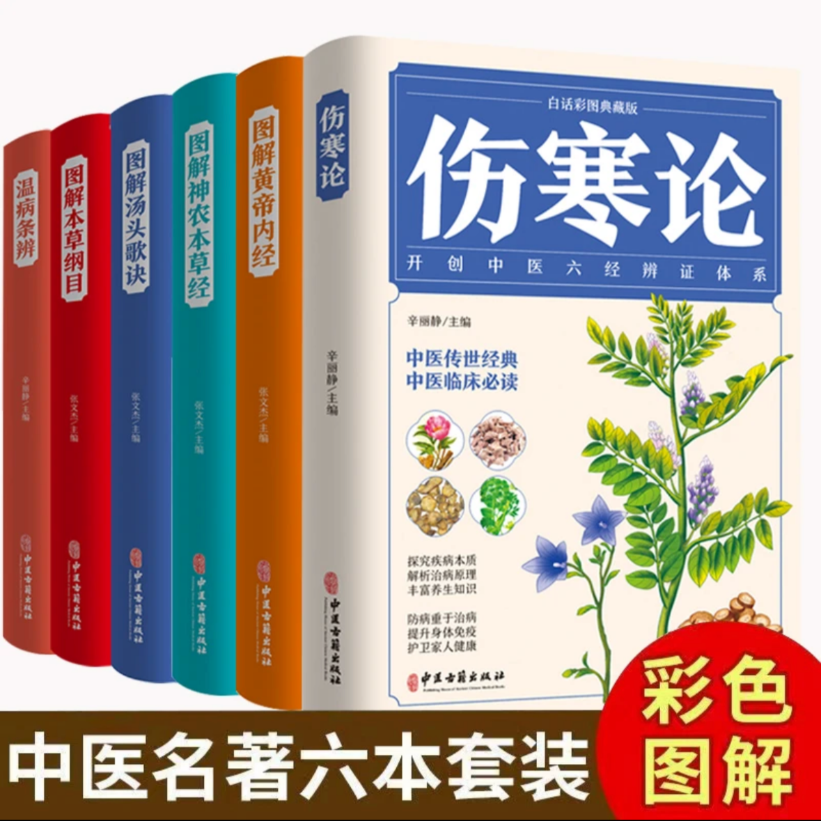 伤寒论张仲景著全集图解伤寒杂病论白话文文白对照中医养生大全