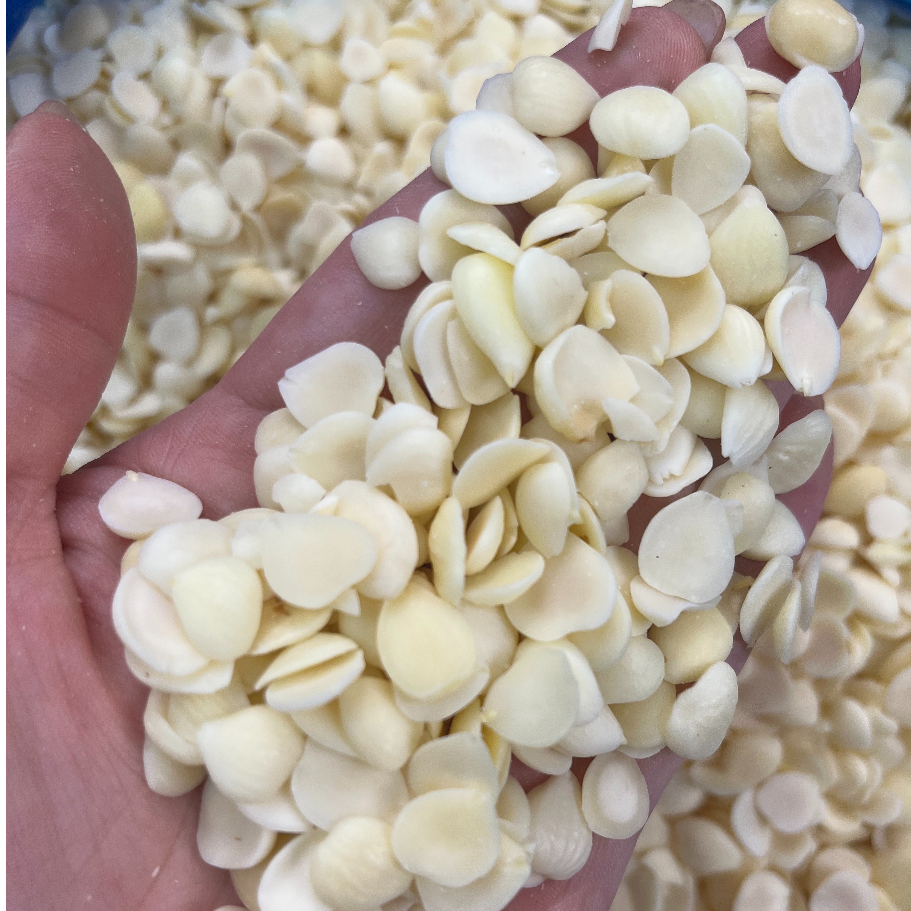 【嘉珈精选】河北无硫光 杏杏（胶） 食用农产品