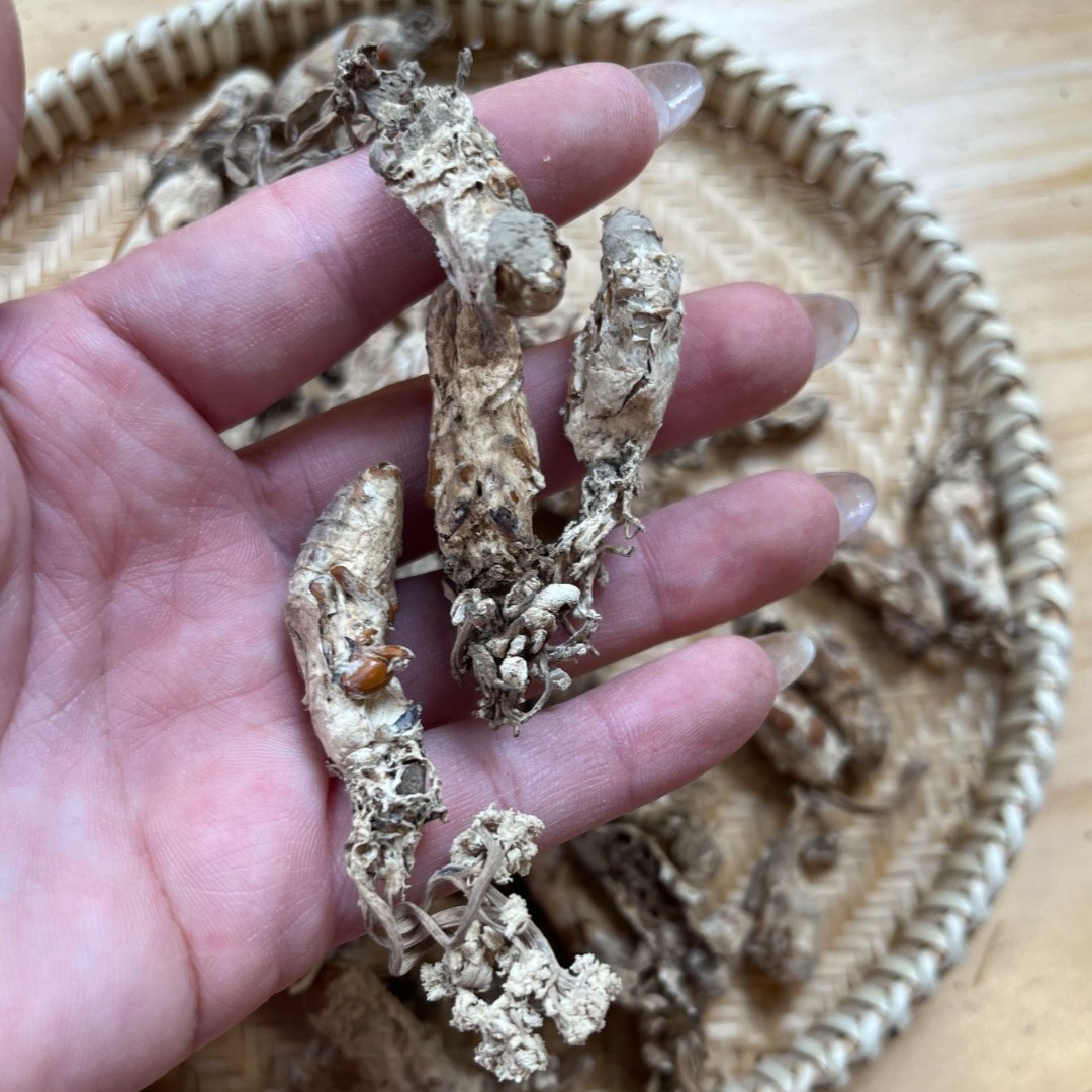 【嘉珈精选】知了花  大自然非种植 无硫 用农产品