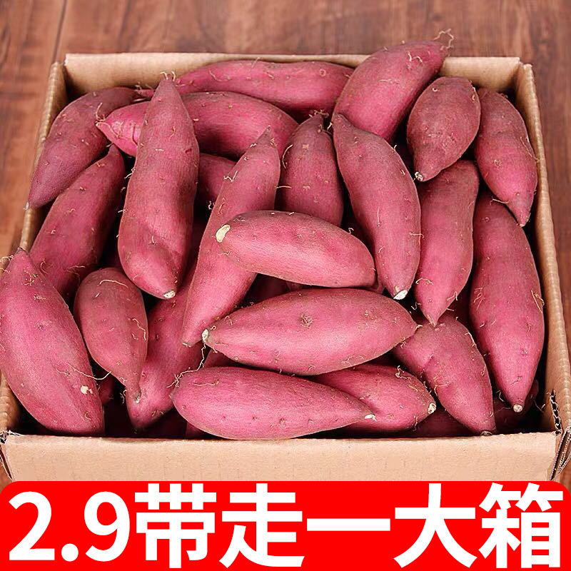 【新店半价】超甜沙地蜜薯1/10斤新鲜地瓜番薯烟薯红薯板栗薯蔬菜