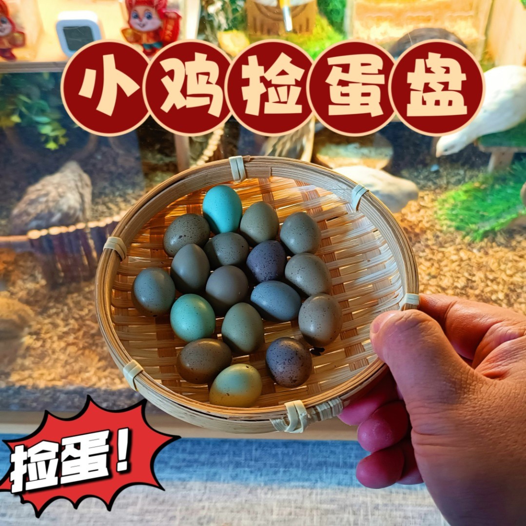 捡蛋篮子芦丁鸡捡蛋盘簸箕小盘捡蛋盛蛋盘捡蛋自由盘