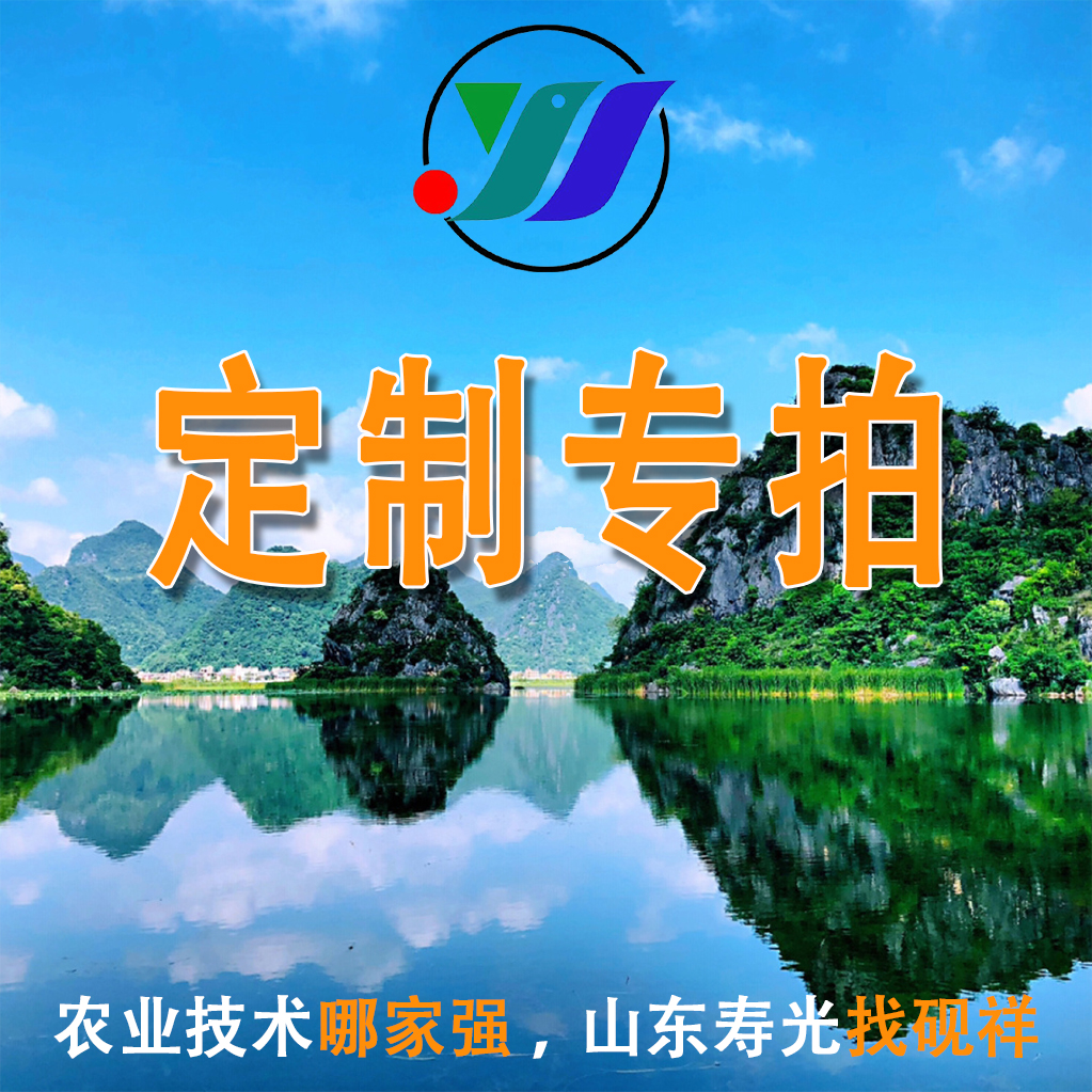 砚祥定制套餐组合