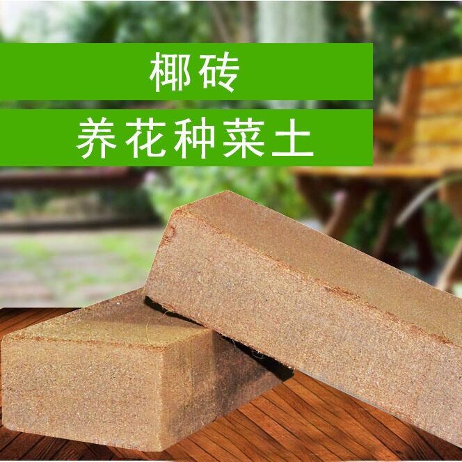 老花农印度椰糠砖  透气好泡椰糠营养土