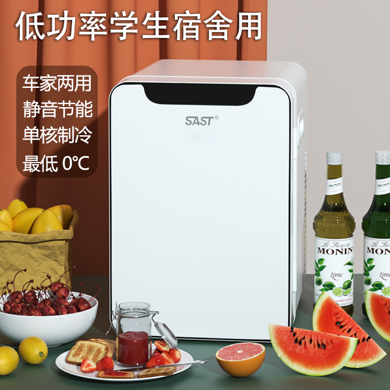 车载冰箱迷你冰箱办公室宿舍租房小型冷暖箱车家两用