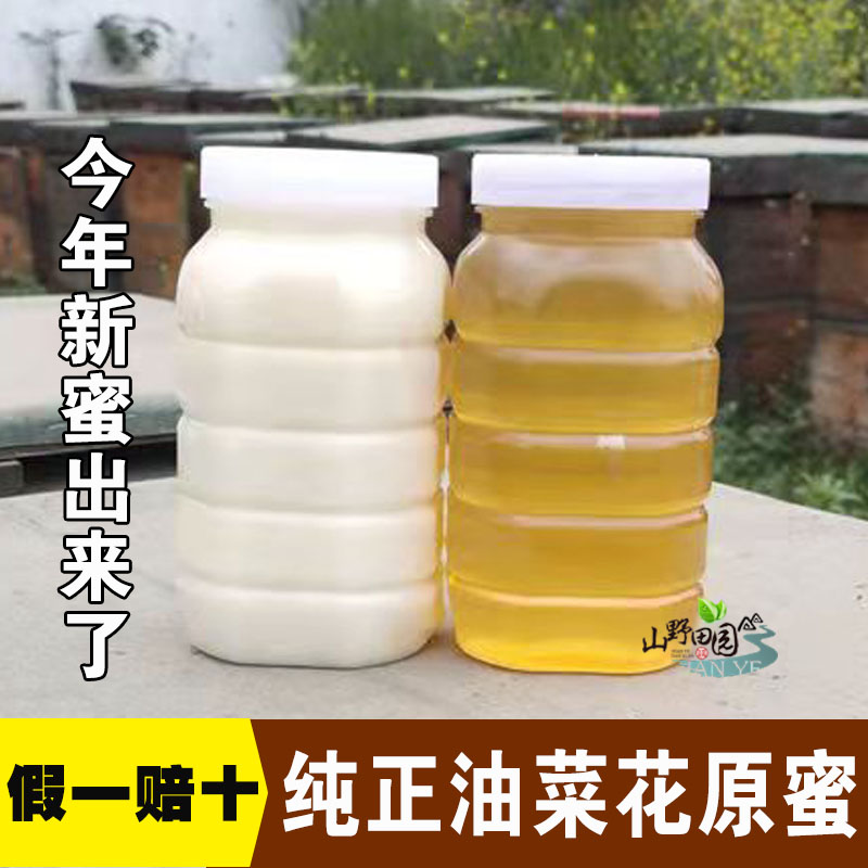2023年新鲜油菜蜜500克装  纯蜂蜜