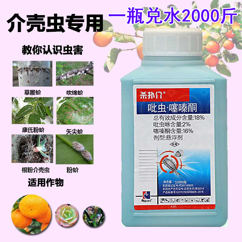 蚧壳虫介壳虫专用药蚧必治 柑橘果树多肉杀扑介磷农药杀虫剂强力