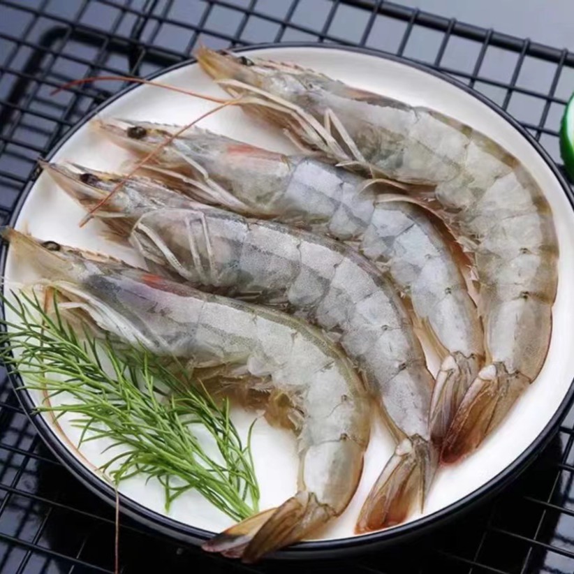 特大号白对虾 20-30 规格 南美白对虾  1.6kg/盒  饱满