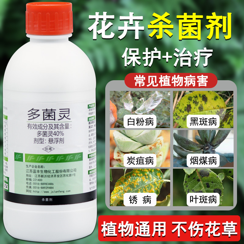 多菌灵多菌灵多肉褐斑病锈病霜霉病菌核病兰花月季土壤消毒专用药