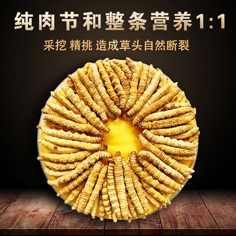 冬虫夏草头茬断草正品虫草纯肉节10克装滋补自吃实惠装