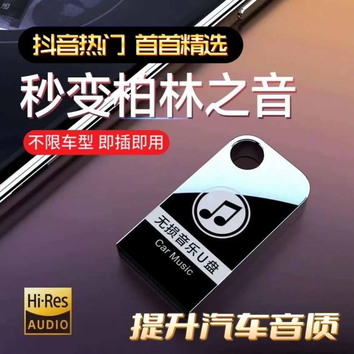 T64G【2023 新款车盘 专享新粉】高端音乐U盘X 不分车型【即插即用】