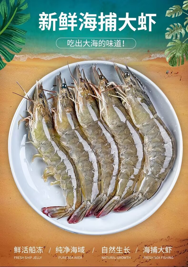 【阿珍推荐】新鲜海洋大虾 13-16cm/只 净重4斤 连云港发货60-70只