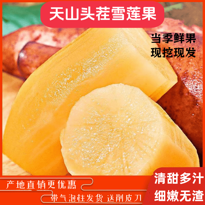 【现挖现发】正宗云南天山头茬雪莲果清甜爽口脆嫩多汁新鲜产地直发