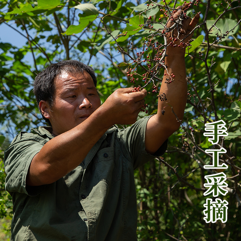 【小五专属】沂蒙山纯正野花椒