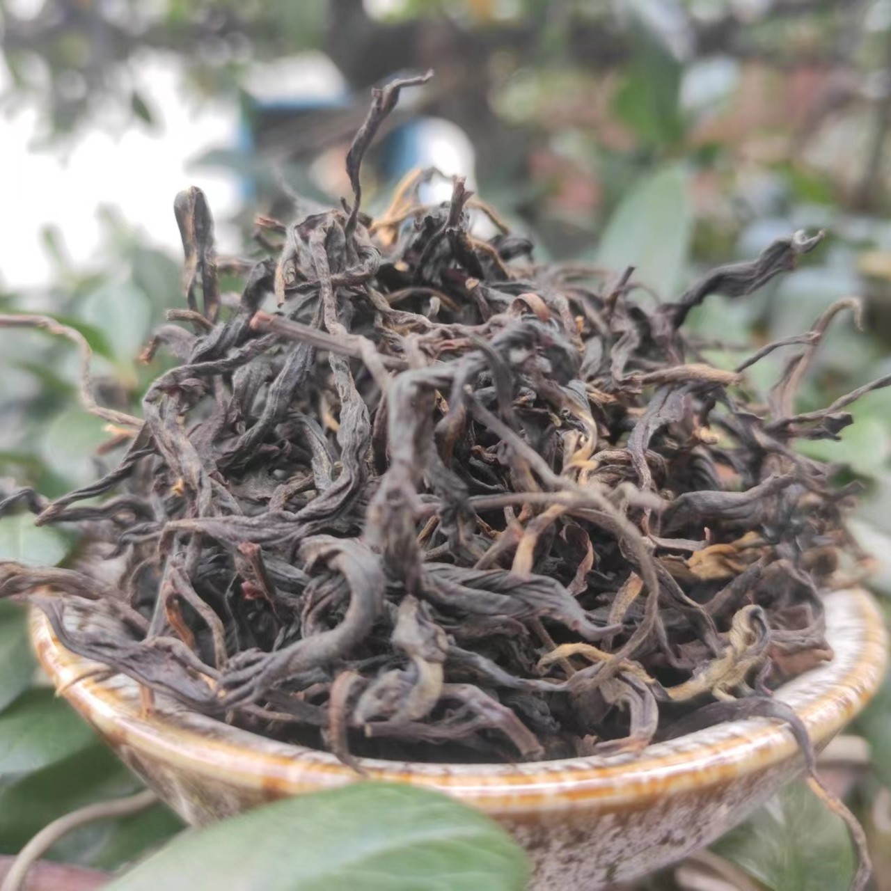 祖上百年  云南  紫鹃古树红 （红茶）散茶