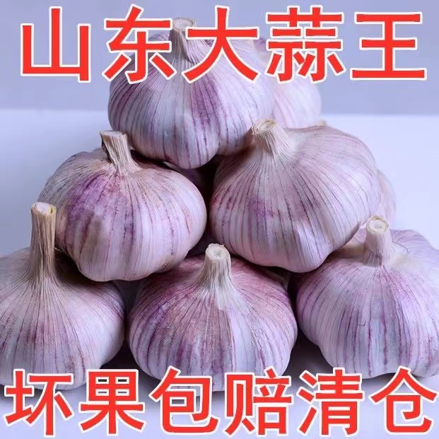山东大蒜紫皮干蒜新鲜农家50克营养多瓣大蒜头紫皮独头蒜批发包邮
