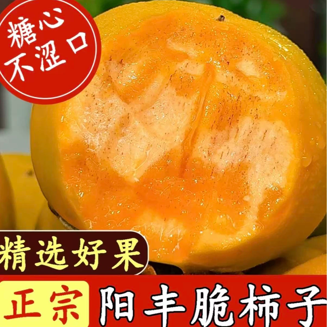 尝华农新鲜采摘阳丰巧克力脆柿香甜多汁不涩口无核果园直发JTH