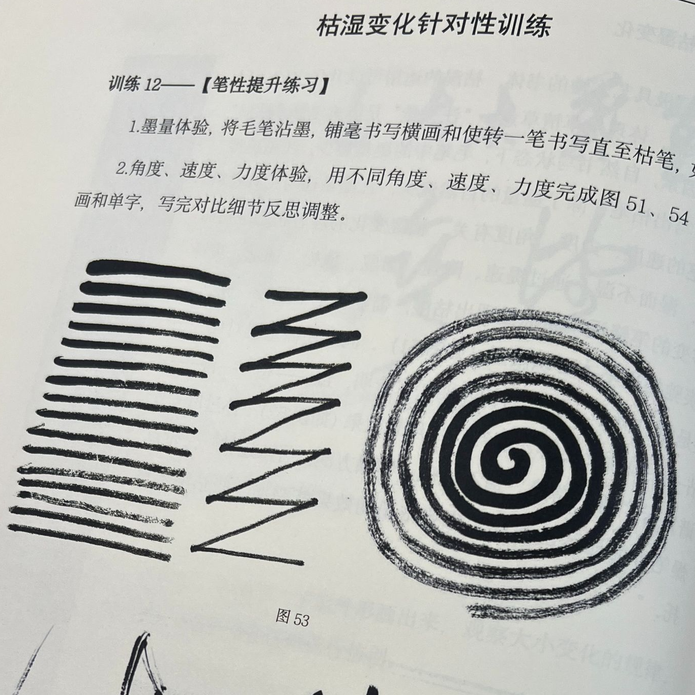 书法套装-草书章法形式分析与训练（纸质材料+录播视屏）