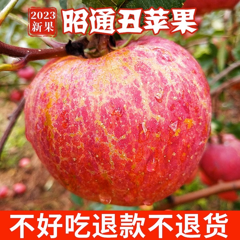 （壹果专享）正宗云南昭通糖心丑苹果脆甜当季新鲜水果孕妇礼盒装