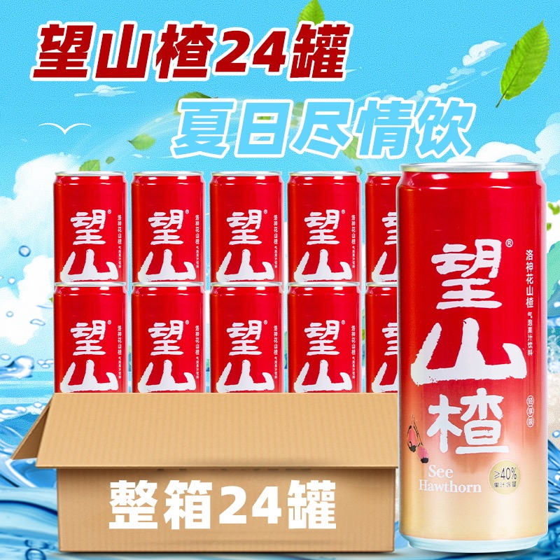 好望水望山楂佛手柠檬金银花蜜桃山楂果汁气泡水饮料330ml*24听装